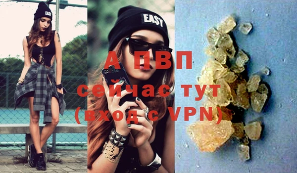 PSILOCYBIN Новодвинск