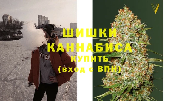 PSILOCYBIN Новодвинск