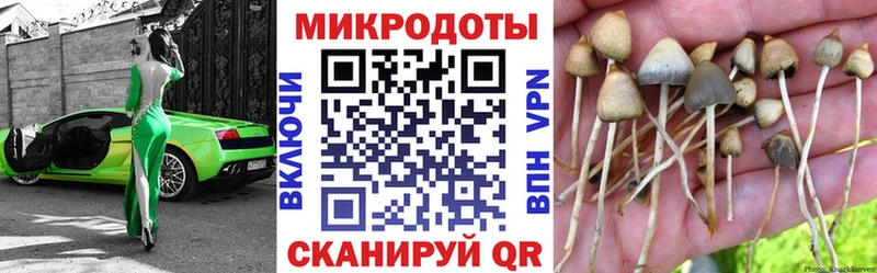 shop клад  купить закладку  Арамиль  Галлюциногенные грибы Magic Shrooms 